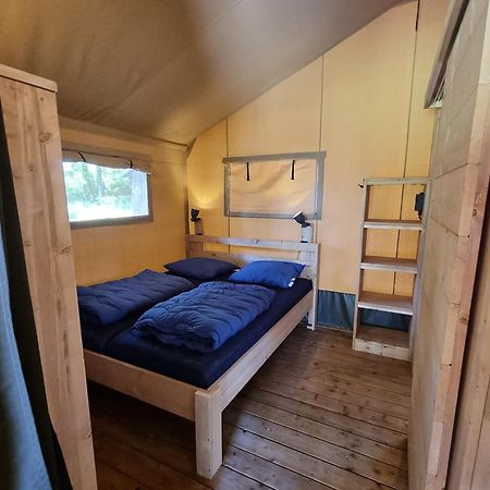 Camping Bockenauer Schweiz Oda fotoğraf